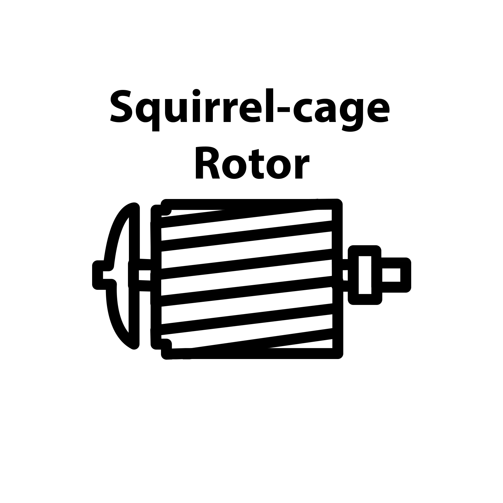 قفس سنجابی